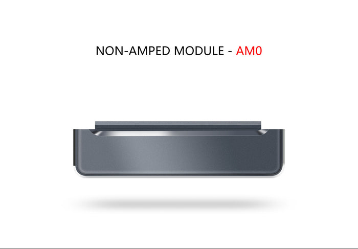 Fiio AM0 (Non-Amped Module), Fiio - HeadfiAudio