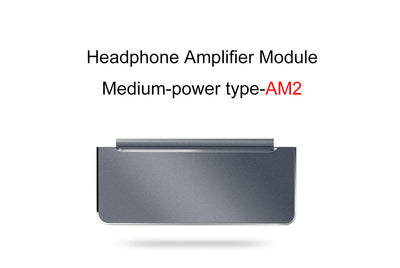 Fiio AM2 Headphone Amplifier (Module Standard Type), Fiio - HeadfiAudio